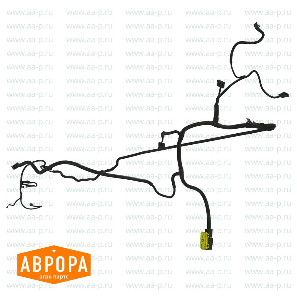 Arm